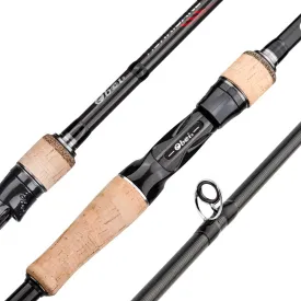 Casting Spinning Fishing Rod