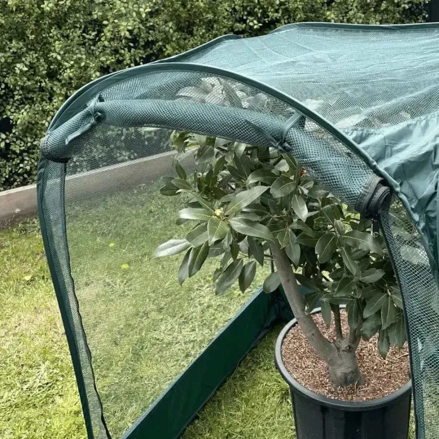Maze Net Garden Cover - 1m² x 1.25 m High